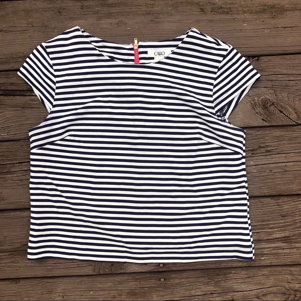 cato striped crop top dressy shirt